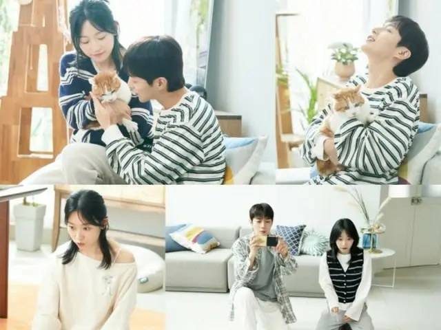"HIGHLIGHT" Yun Doo Jun & Kim Seulgi's divorce battle over a cat... Sweet yet intense chemistry in "Cat Custody War"