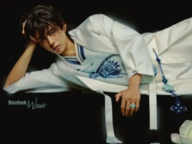 BTS' V expresses his affection for Park BoGum's post in hanbok with a heart emoji