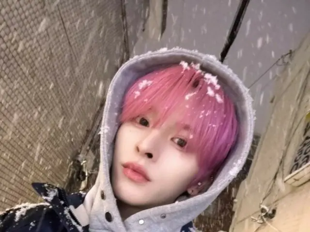 "n.SSign" Lawrence, the pink-haired snow fairy