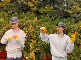 Kwon Yuri, living in two locations, Cheju Island and Seoul... Today he harvested mandarin oranges "I'm a young farmer"